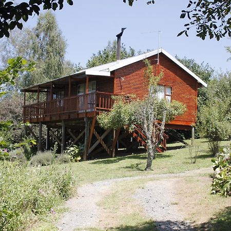 Nibelheim Self Catering Cottage Hogsback Exterior foto